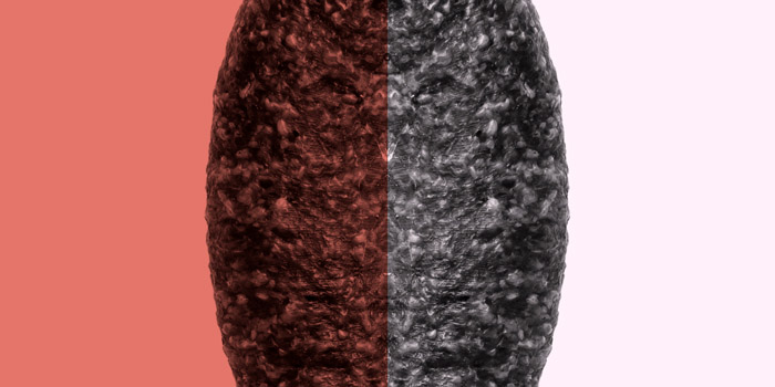 Le Court du mois - Mars